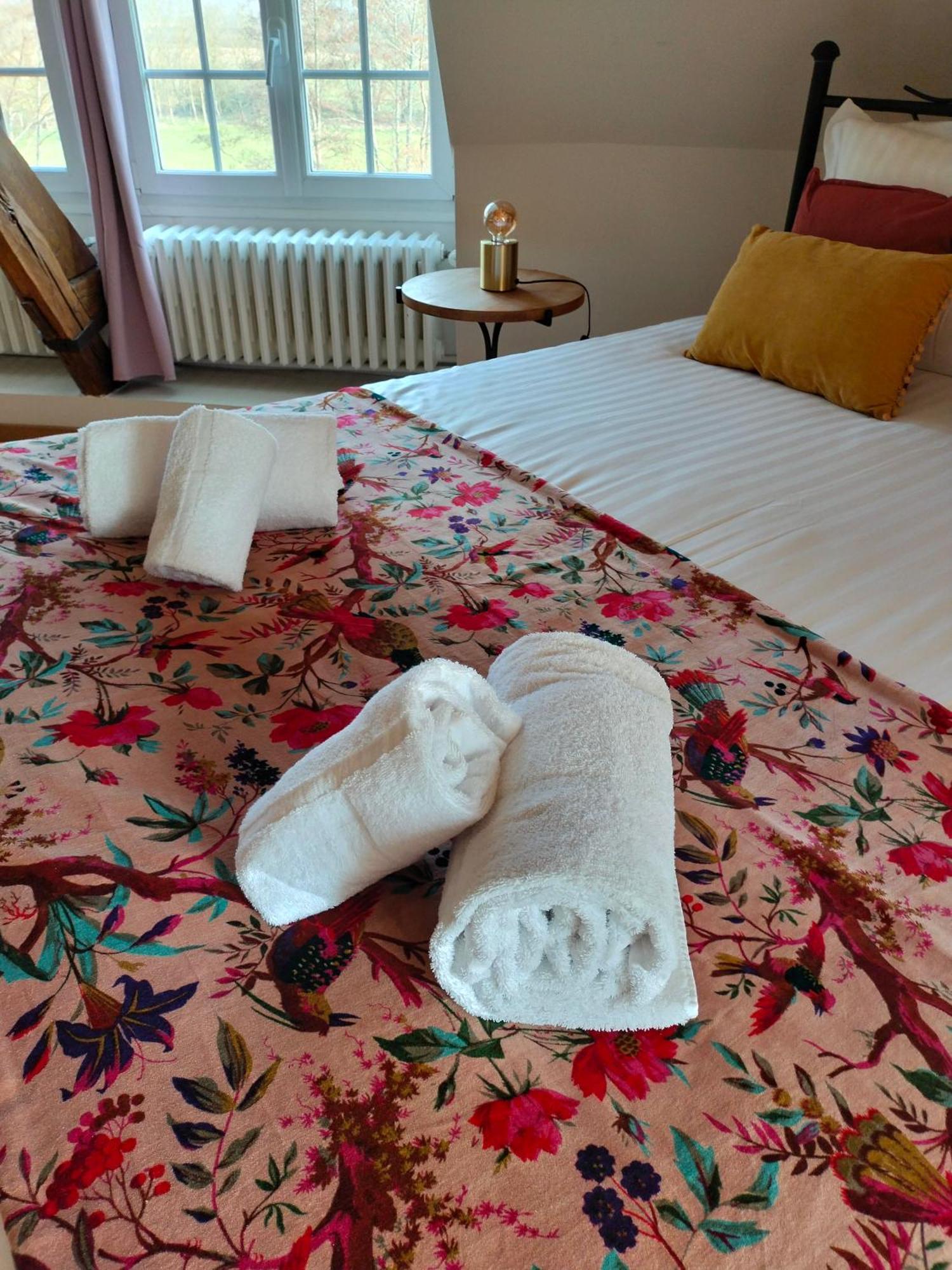 Bed and Breakfast Moulin De Bacchus Chançay Exterior foto