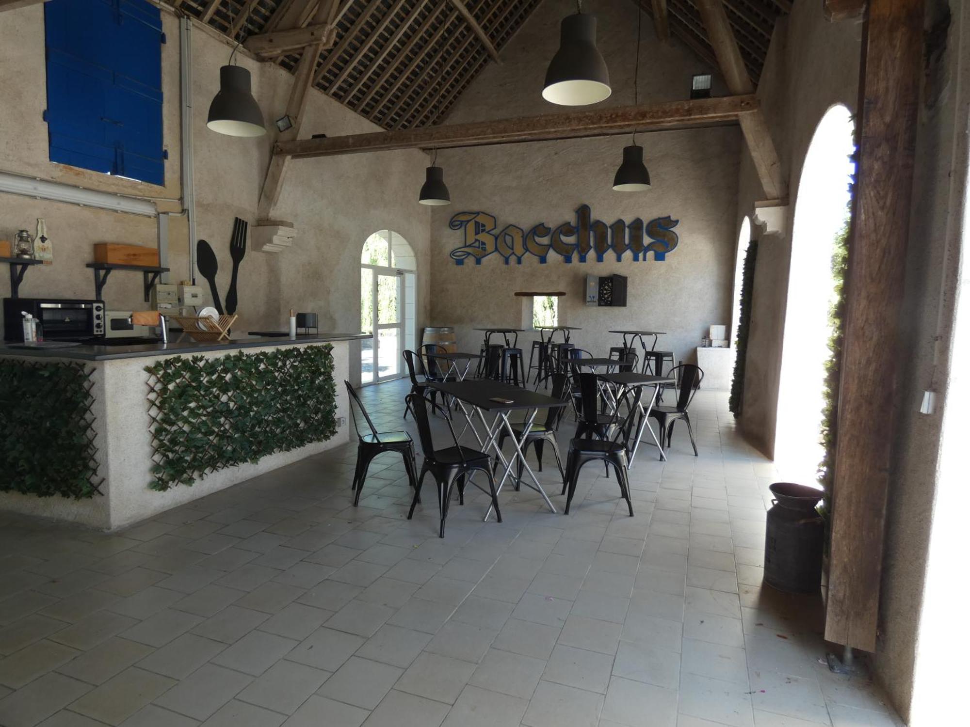 Bed and Breakfast Moulin De Bacchus Chançay Exterior foto