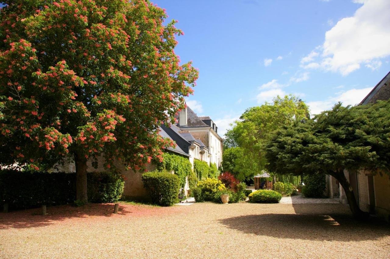 Bed and Breakfast Moulin De Bacchus Chançay Exterior foto